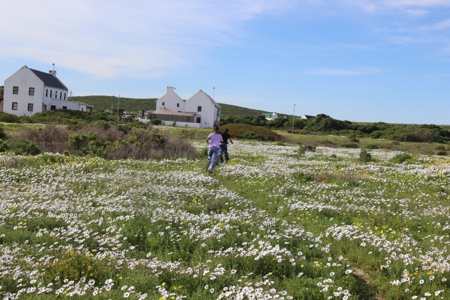 0 Bedroom Property for Sale in Jacobsbaai Western Cape